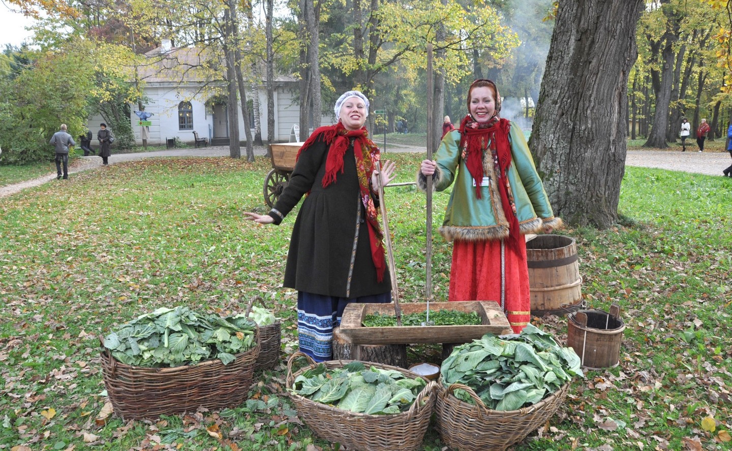 Новгородские «капустки» – МРГ-Онлайн